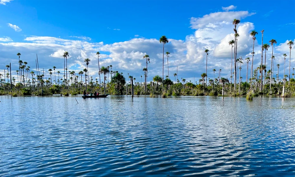 Tour Puerto Maldonado y lago Yacumama 4 dias