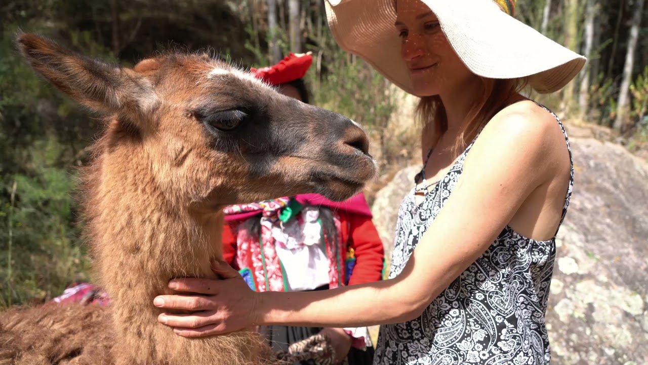 Tour de alpacaterapia y sanacion con arcilla en Cusco/Conexión Espiritual y Naturaleza