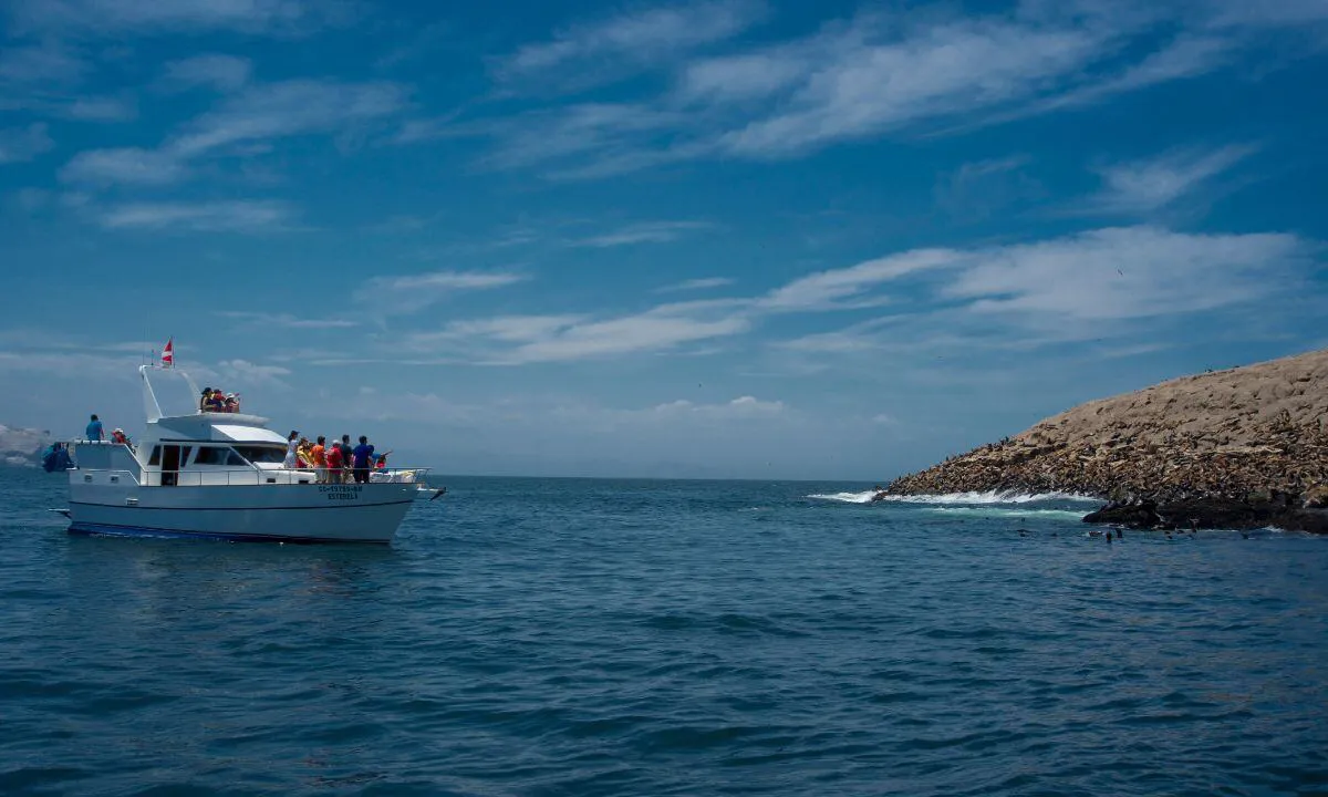 Islas Palomino