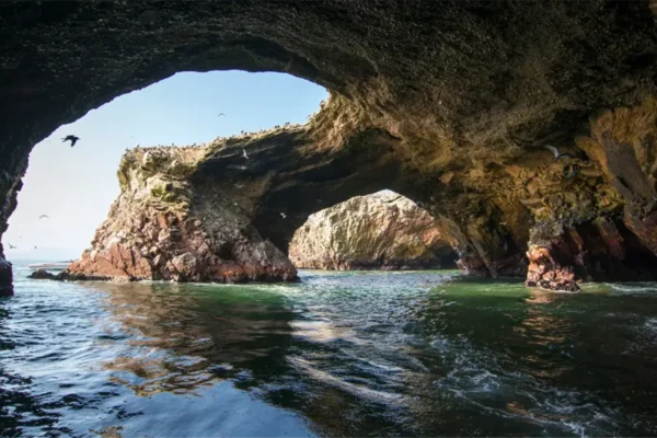 Islas Palomino