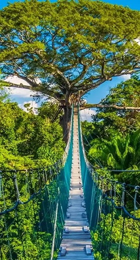 Premium Amazon Refugio – Inkaterra Experience | 3D/2N