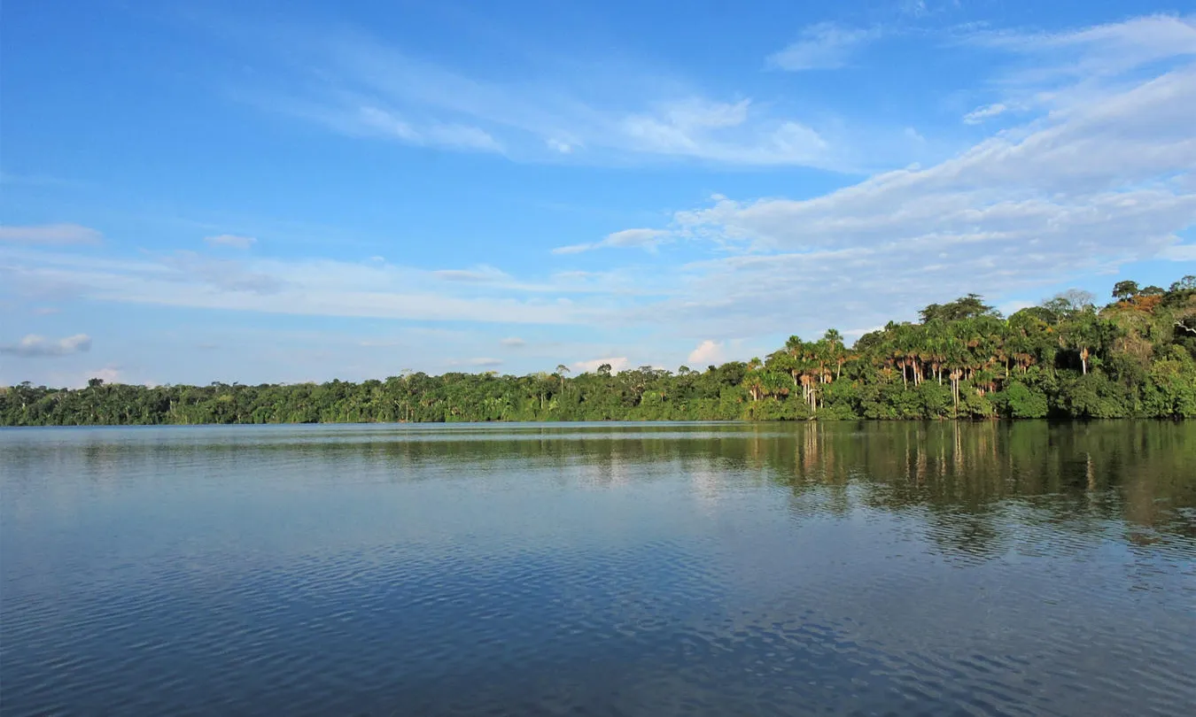 Reserva Nacional Tambopata