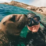Buceo en las Islas Palomino y su fauna marina