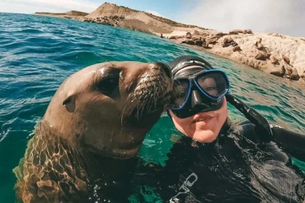 Buceo en las Islas Palomino y su fauna marina
