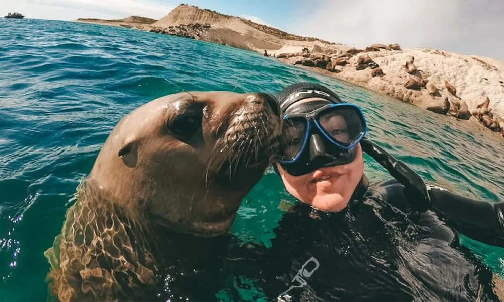 Tour de Nado con Lobos Marinos en Islas Palomino