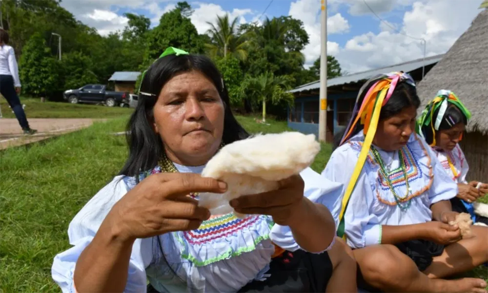 Comunidad de Lamas