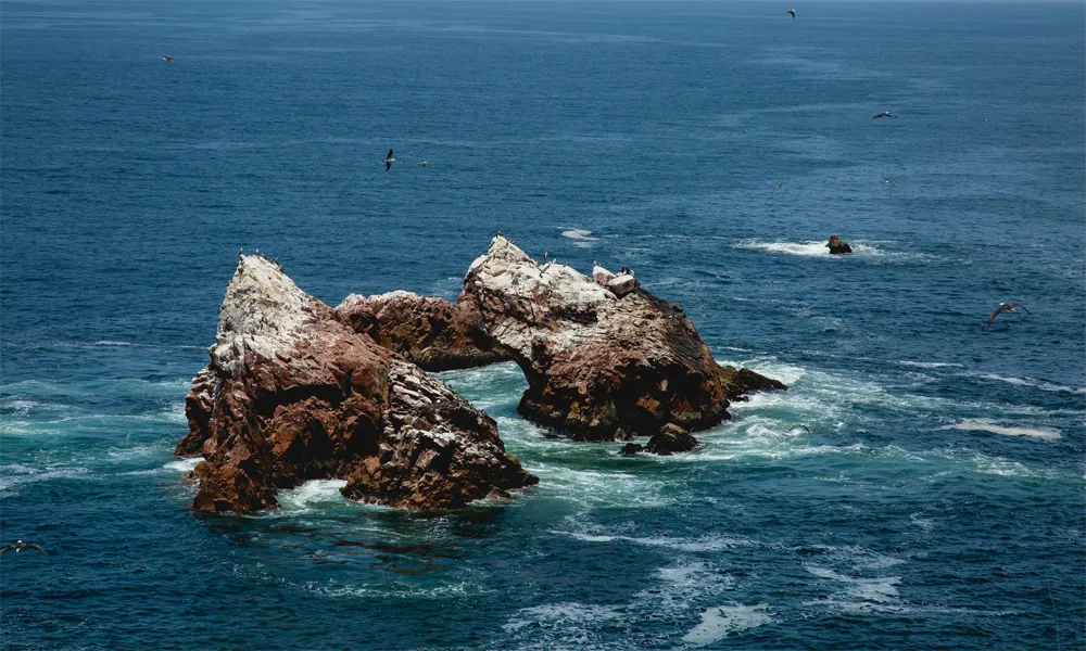 Islotes de Punta Coles en Ilo