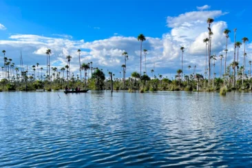 Excursão a Puerto Maldonado e ao lago Yacumama, 4 dias