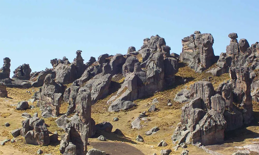 piedras bosque