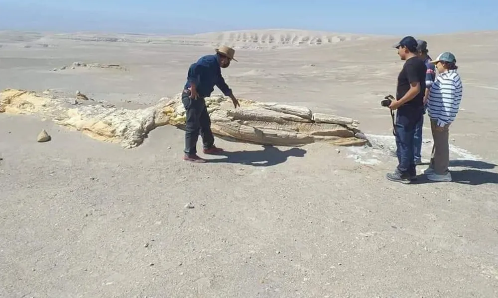 Desierto de Ocucaje