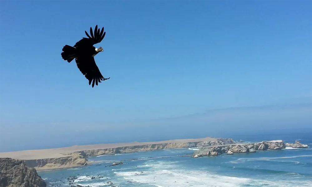 Playa Pucusana