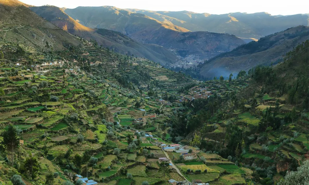 tarma