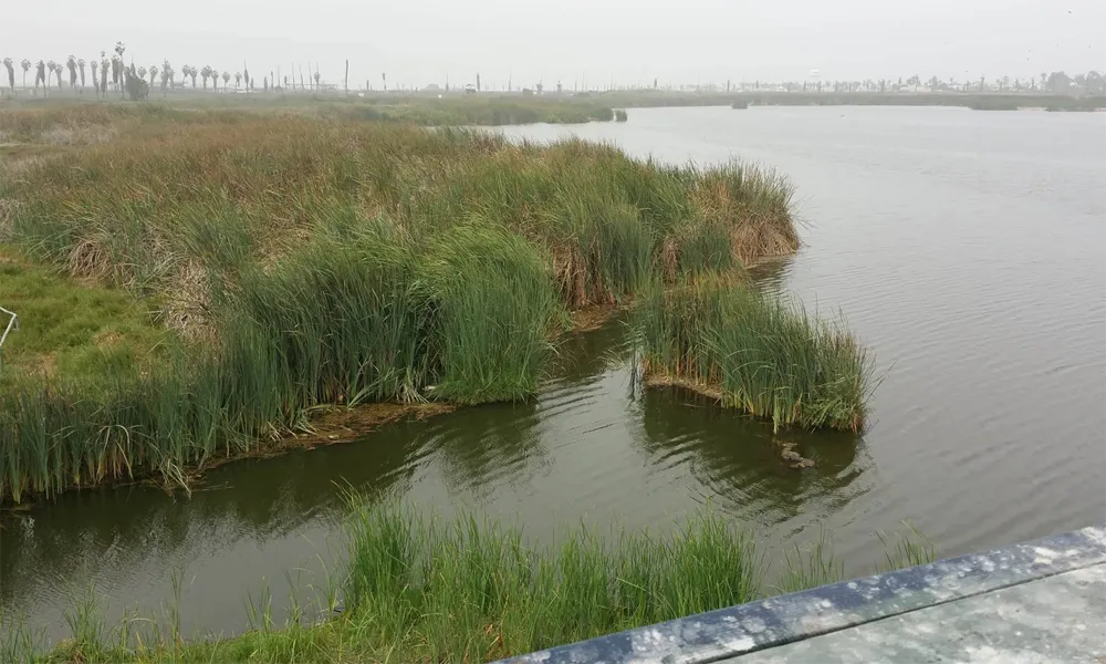 Pantanos de Villa