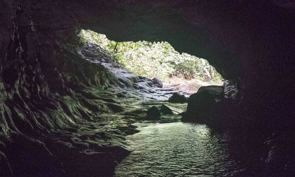 Aventura en el Río Yanayacu