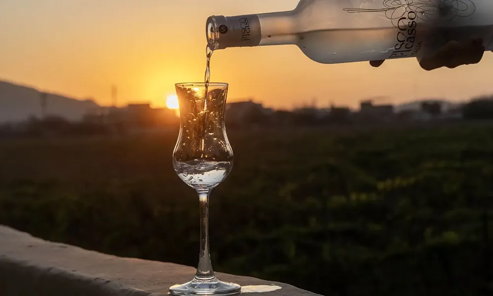 El origen del pisco