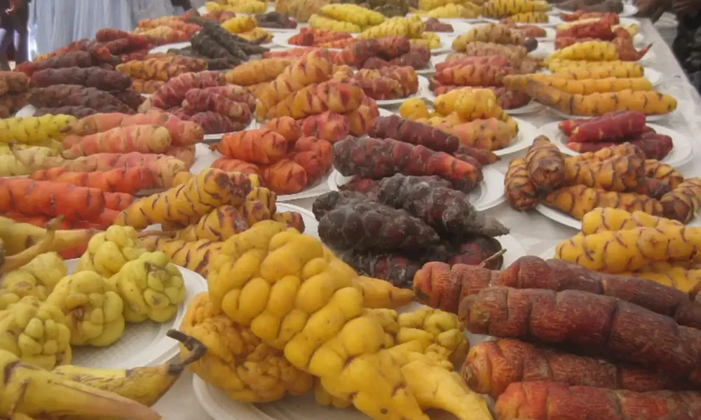 La Oca y la Mashua