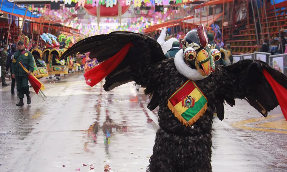 Dance of the condors