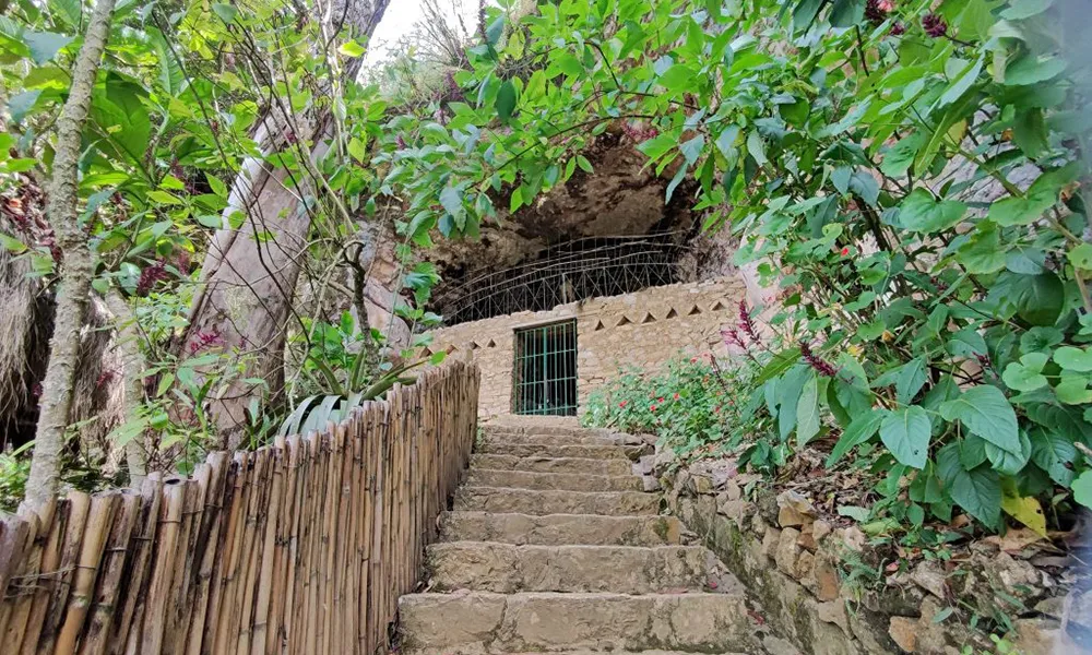 Las Cavernas de Leo en Amazonas
