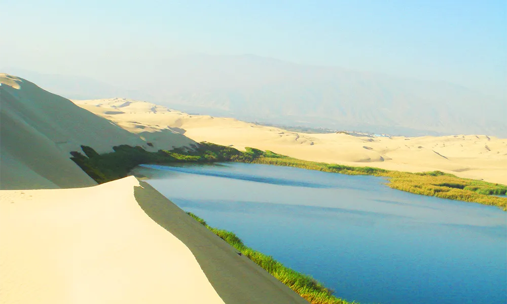 Oasis de Morón en Pisco
