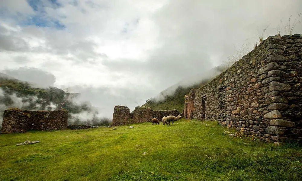 Pumamarca