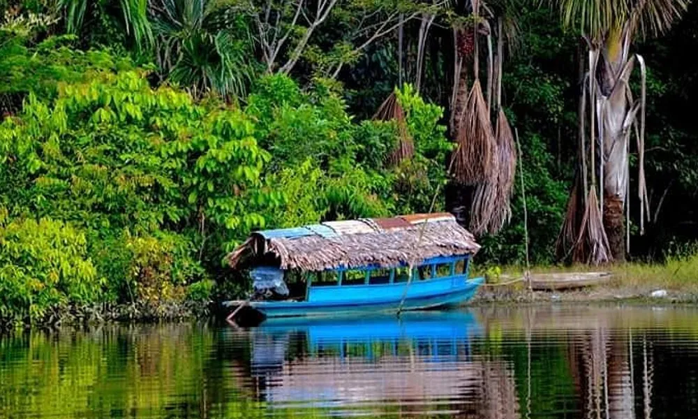 Reserva Allpahuayo-Mishana