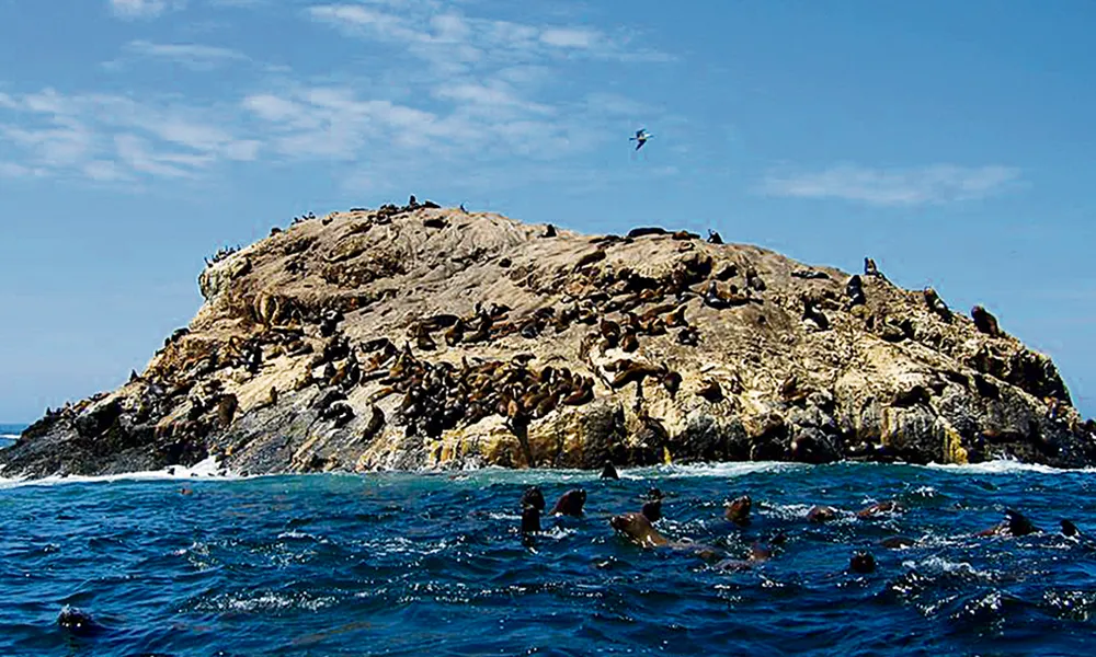 Ruta Hacia las Islas Guañape en La Libertad