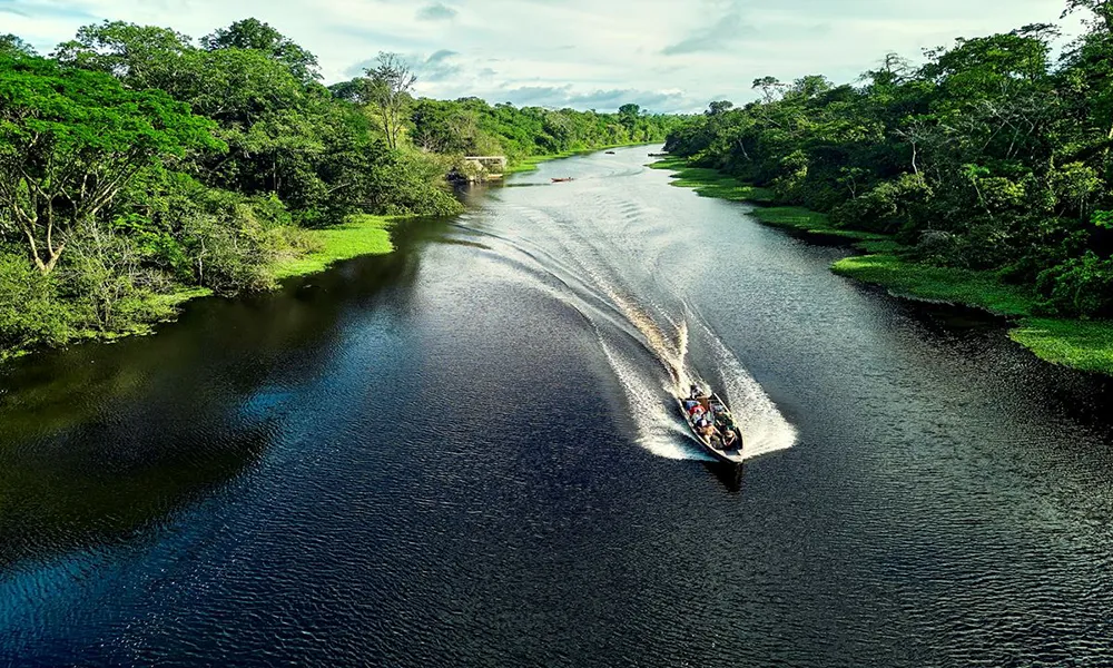 Ruta del Bosque de Shinkal en Ucayali