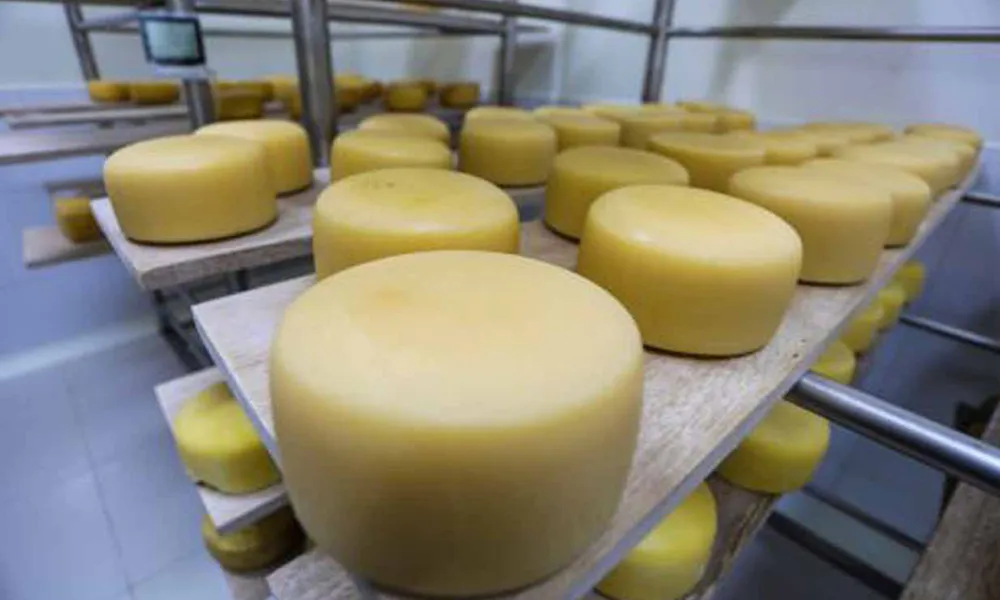Ruta del Queso en Cajamarca