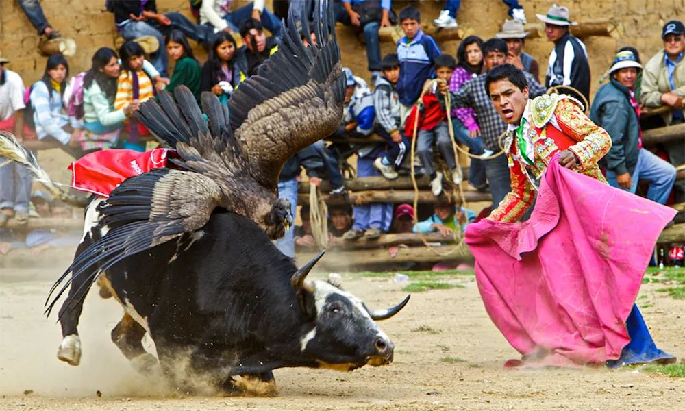 Yawar Fiesta
