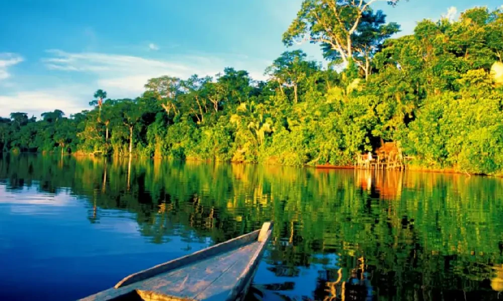 Hidden Jungle Tour: Discover Lake Sandoval | 2D/1N