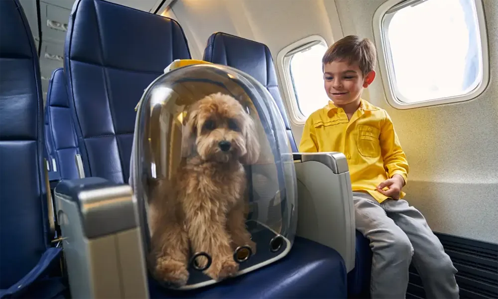 Cómo viajar a Perú con tu mascota