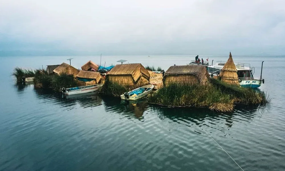 Flora y fauna del Lago Titicaca