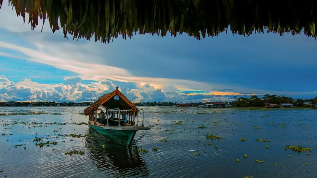 Amazon Iquitos Tour 2 Days 1 Night