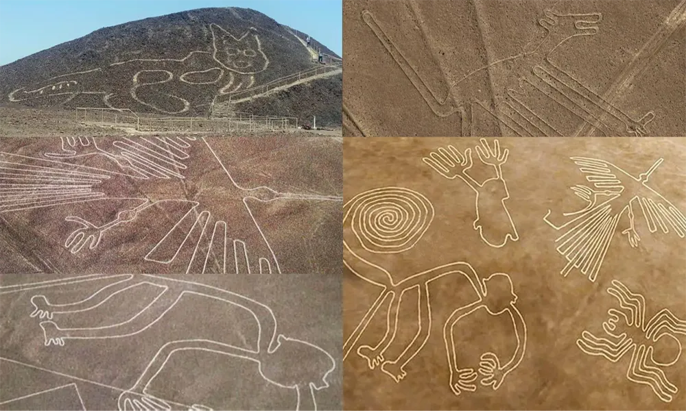 Excursão privada às Linhas de Nazca saindo de Lima – Dia inteiro