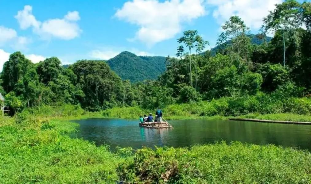 Pacaya Samiria Tour 4 Days 3 Nights from Iquitos