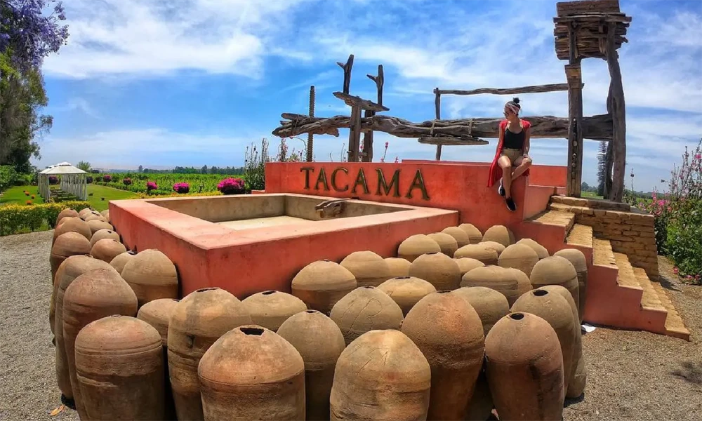 Bodegas Vitivinícolas y Pisqueras de Ica