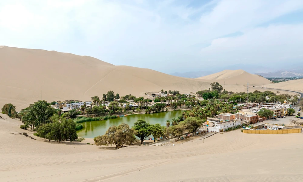 Excursão privada saindo de Lima: Oásis de Huacachina, Paracas, Pisco, Vinhos e Pinguins